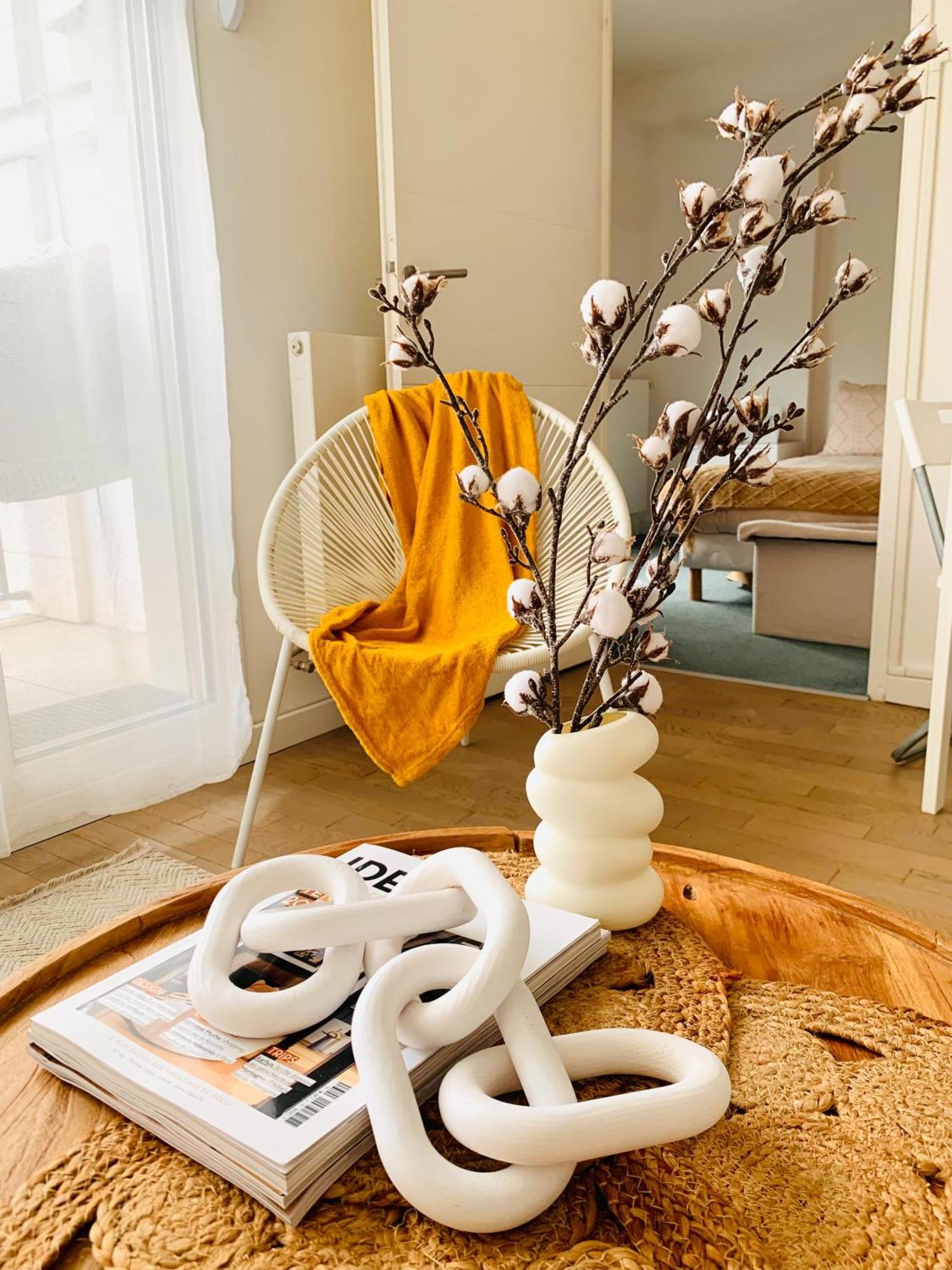 Le Bali Cosy House - T2 Lumineux Et Moderne En Plein Centre Ville De 迈松阿尔福 外观 照片